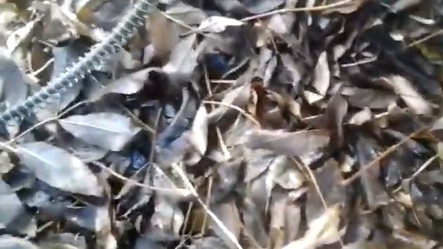 5ad14e98d8c94904d68b6bef60fd548d