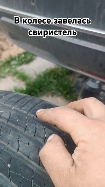 Музыкальный прокол колеса