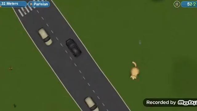 Tasty Planet Forever #1 Gato Comilão