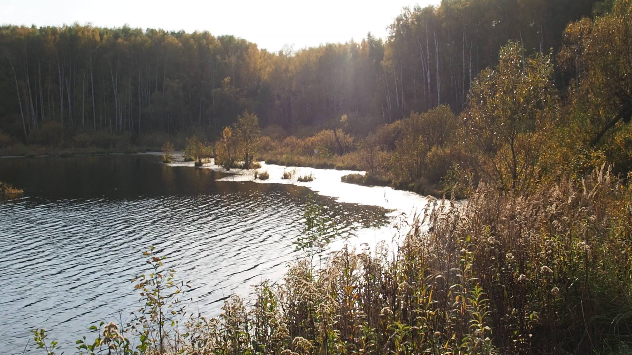 Мытищи – Лосиный Остров