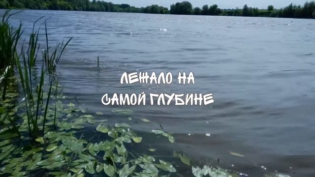 ...четверговое видео...40 неделя 2021...