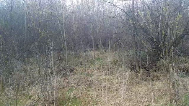 А вы стали бы такого держать?