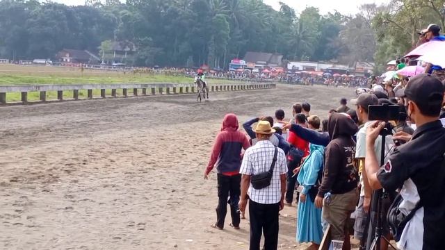 KELAS 3 TH KE ATAS THB INA 1600 M || Live TIGA MAHKOTA SERI 2 TH 2024 Tegalwaton Kab Semarang