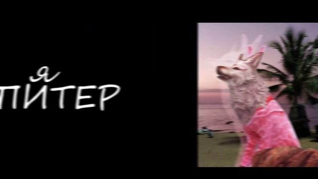 289f225d227e15b2542cedd1920b2241