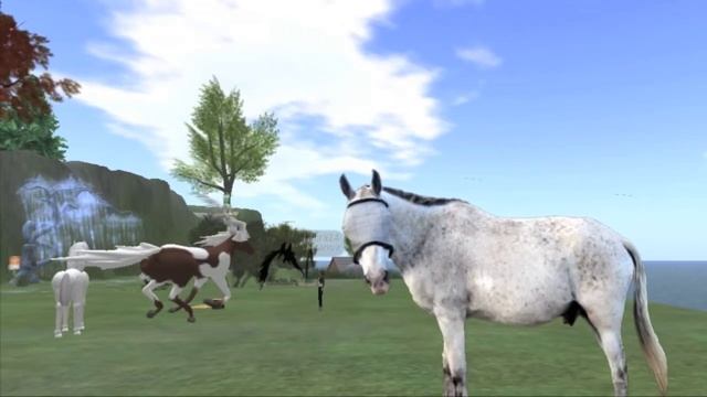 A Tale Of Two Horse Farms