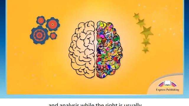 Action, 10 Grade, Unit 6 Human Body, Physical Structure Of The Human Body