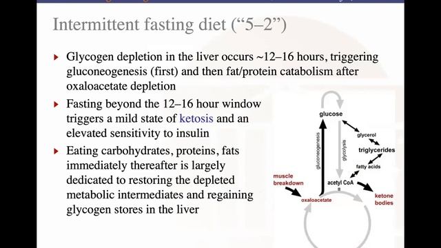 BME2104 Lecture 23 OXPHOS & TCA Cycle Part 2 Spring 2022