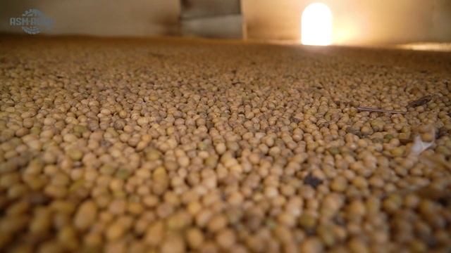 ASM-AGRO на «Золотой ниве-2024»