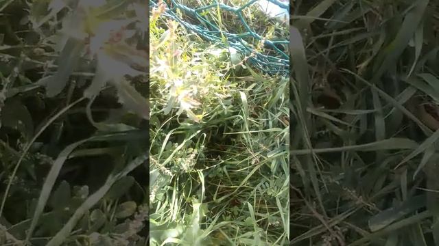 A2c01191aa8284211511743d250a0818