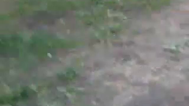 Как играют дети в 21 веке))