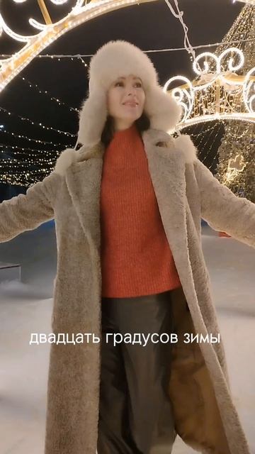 Двадцать градусов зимы