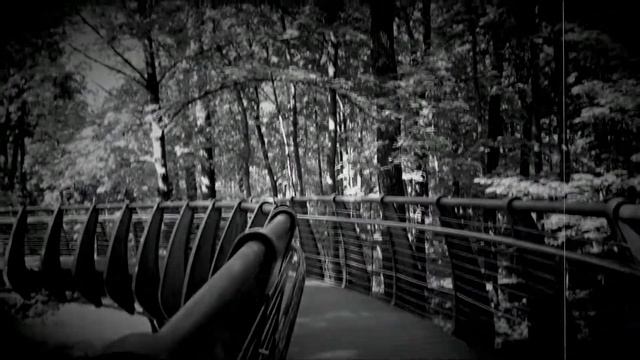 Ivanli - Московские сезоны #9