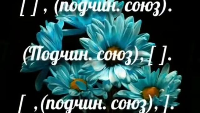 Союзы и союзные слова в сложноподчинённых предложениях(преподаватель Мамбетова Г. А)