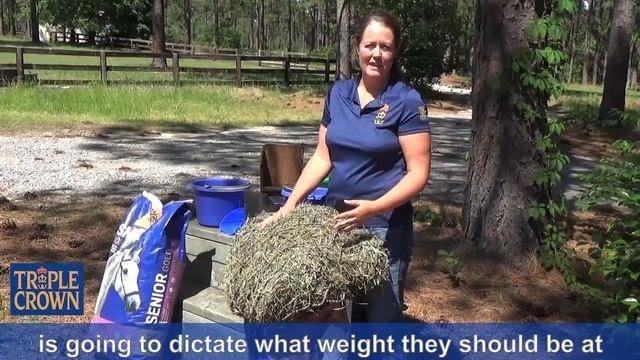Triple Crown Feed- How To Measure Your Horse's Weight And Body Condition.