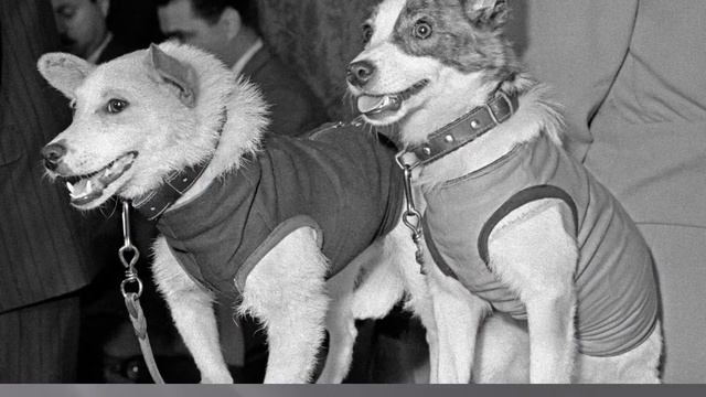 О космосе  дошкольники