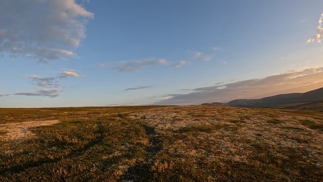 Быстров Александр