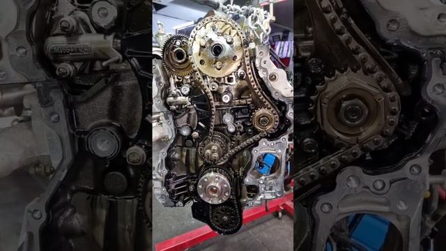 OPEL INSİGNİA ZİNCİR SESİ VE ÇÖZÜMÜ #shorts #shortvideo