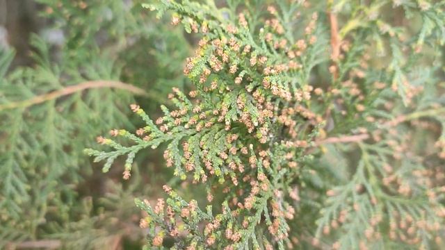 Природа Апрель Славянск (16.04.22)