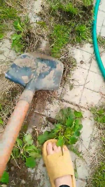 #питбайки #реки #пит #мечта коплю на пит байк день 4