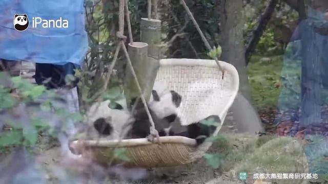 Как успокоить непослушного ребенка?