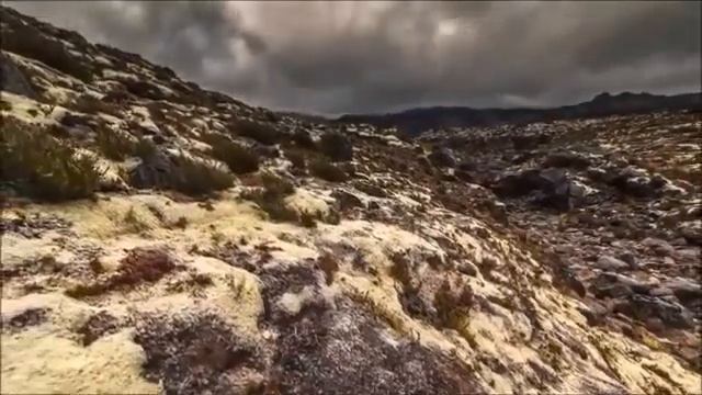 Хабаровск столинца С  Ш  Америки  Л Д О  119 ч