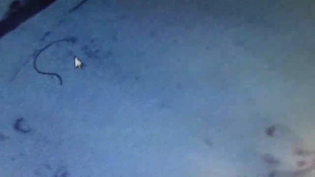 странный объект. жгут .