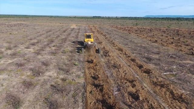 Stump Puller And Rotary Rake In Action