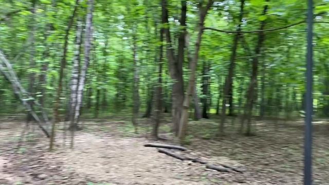 Кузьминский парк🍃🌳