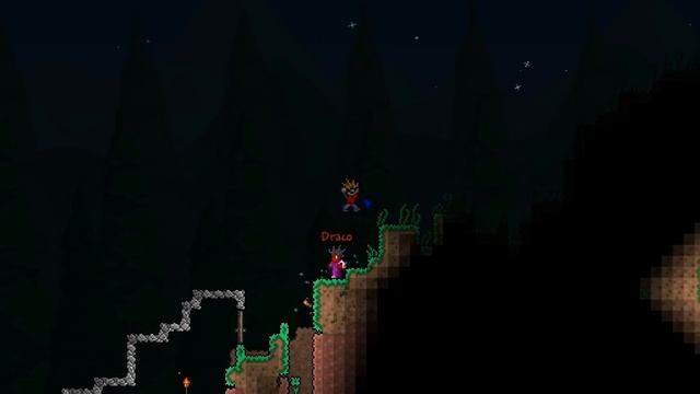 Terraria Lets Pay With SFG 6