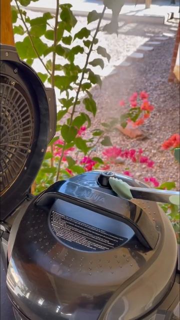 18728581085971fd086228c1570a6203