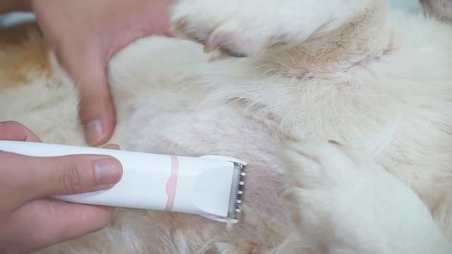 IBrek-Ozon-машинка для стрижки волос для домашних животных