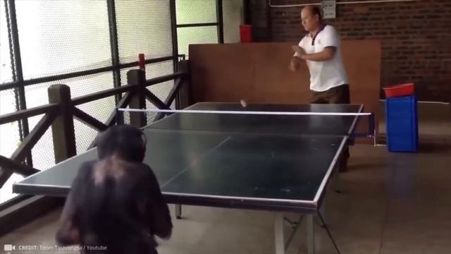 E1e9f59626503e077a6914a5164f59af