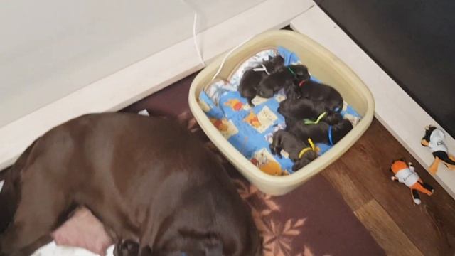 D181fd7f339df9f7aa50b9a4b7f61636