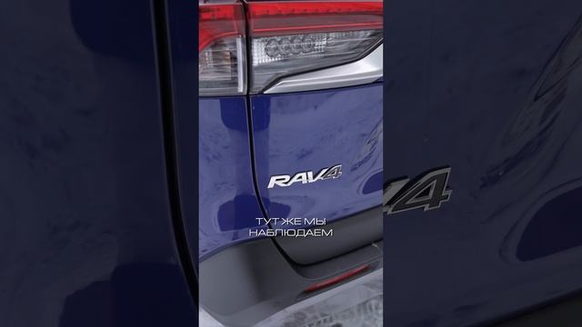 А кто для тебя фаворит ?