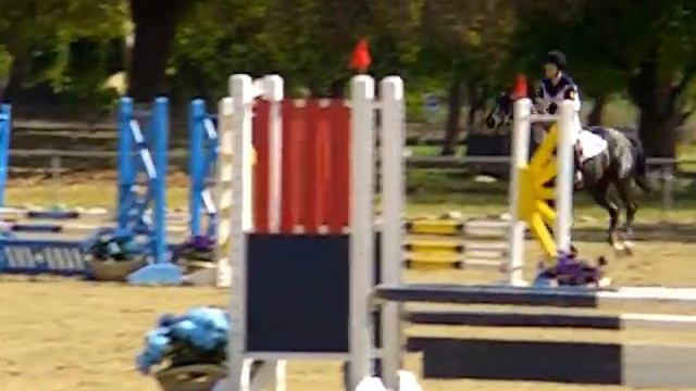 Marcy Pellegrini And Black Diamond.AVI