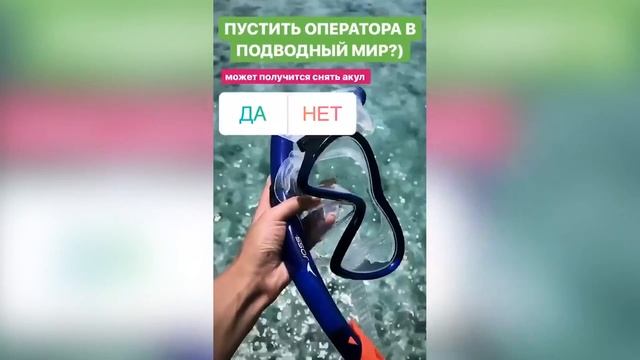 Лизок ОБЗОР подписчики управляют моей жизнью АЛИСА ЛИСОВА