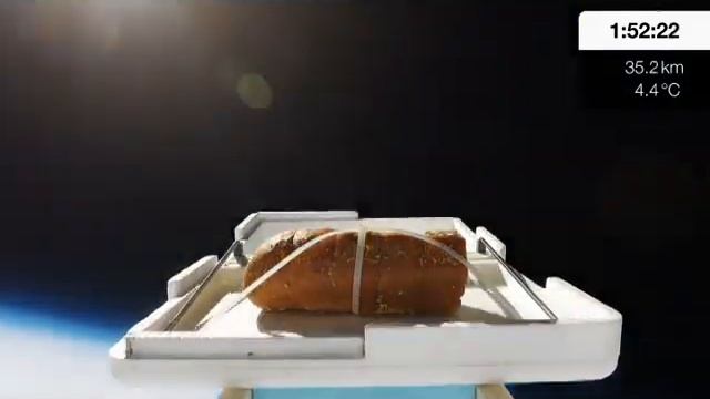 We Sent Garlic Bread To The Edge Of Space/ Мы отправили чесночный хлеб на край космоса НА РУССКОМ