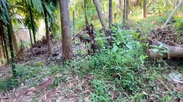 C894e0bfdb63410fd40550a833a1ec5c