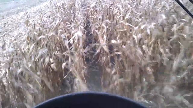 John Deere W650 & Geringhoff Rota Disc