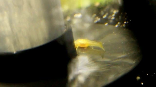 38#Zbrojniki. Dzień 5.