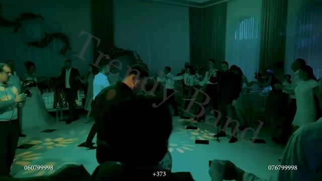 Lăutarii De La Trendy Band La Nuntă - Sirba Lui Valiku, Sârbe - (Taraf Live 2019)