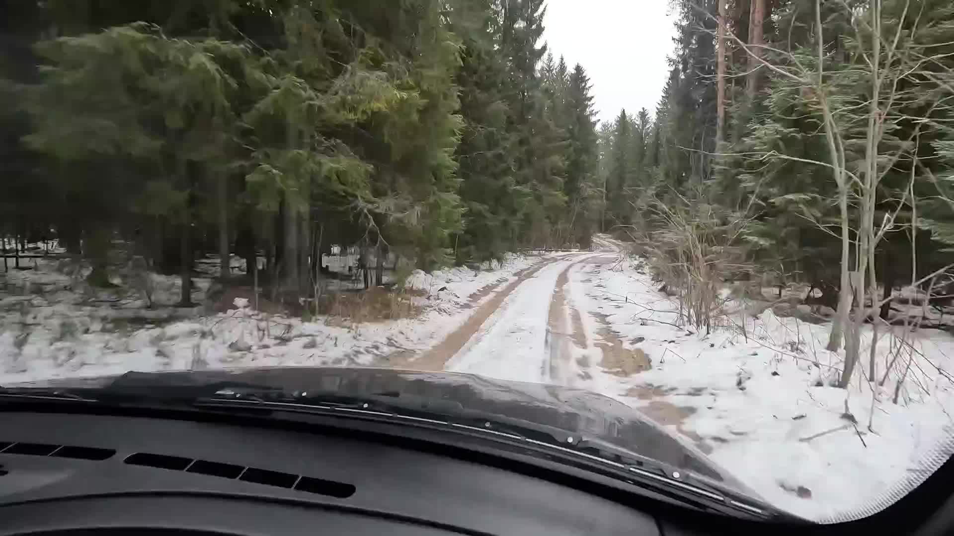 Охота как она есть