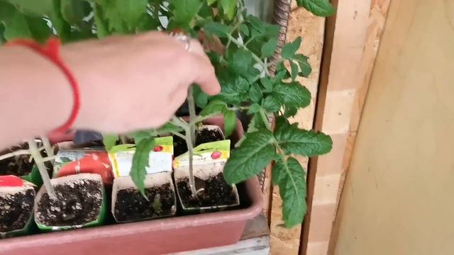 7 ЛЕТ ОДНА В СТАРОМ ДОМЕ НА ЗАБРОШЕННОМ УЧАСТКЕ В ДЕРЕВНЕ Обзор Что изменилось