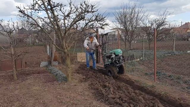 La Arat Cu Motosapa Verdina HSD1G-105G, Primavara. I Plowed With The Power Tiller.