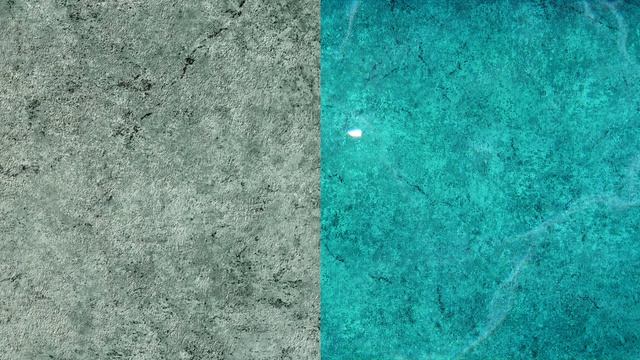 StoneFlex Forest | Outside & Inside