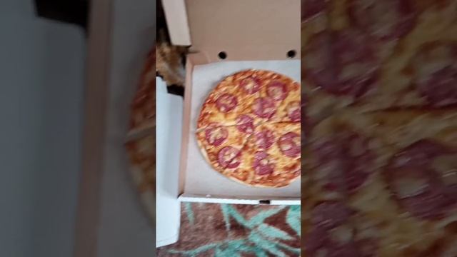 2220a020f0d96665b233428f1bc1edc9