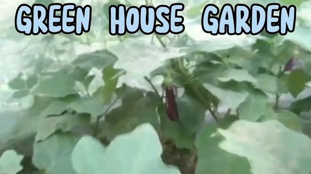 Pila Senior High School Promotional Video#promotionalvideo #school #enrollnow