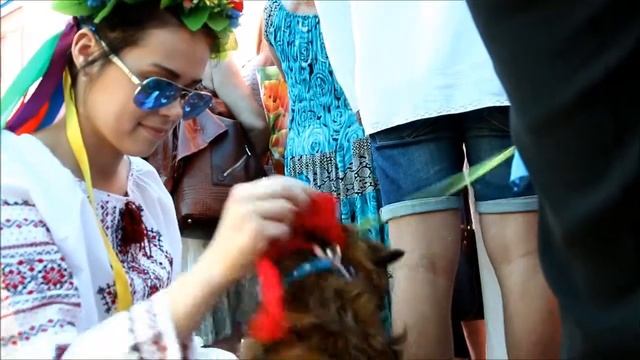 14. 07. 2014 під час мітингу у Києві