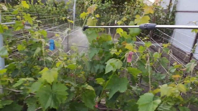 АНТИ-СТРЕССОВАЯ ОБРАБОТКА! ТЕЛ. +79054033245, WhatsApp и Viber +79528500417.