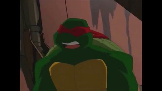 Teenage Mutant Ninja Turtles Turtles Got Transported To Planet D'Hoonib Then They Run Into Trouble